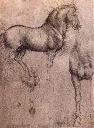 LEONARDO da Vinci Studies of horses USA oil painting artist